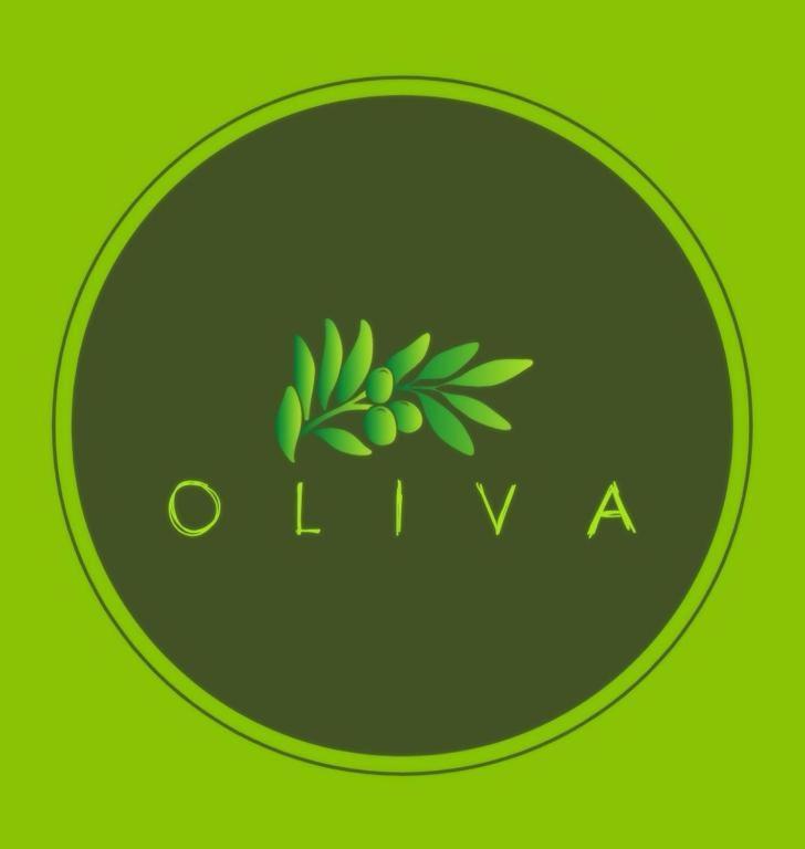 Villa Oliva Makarska Dış mekan fotoğraf