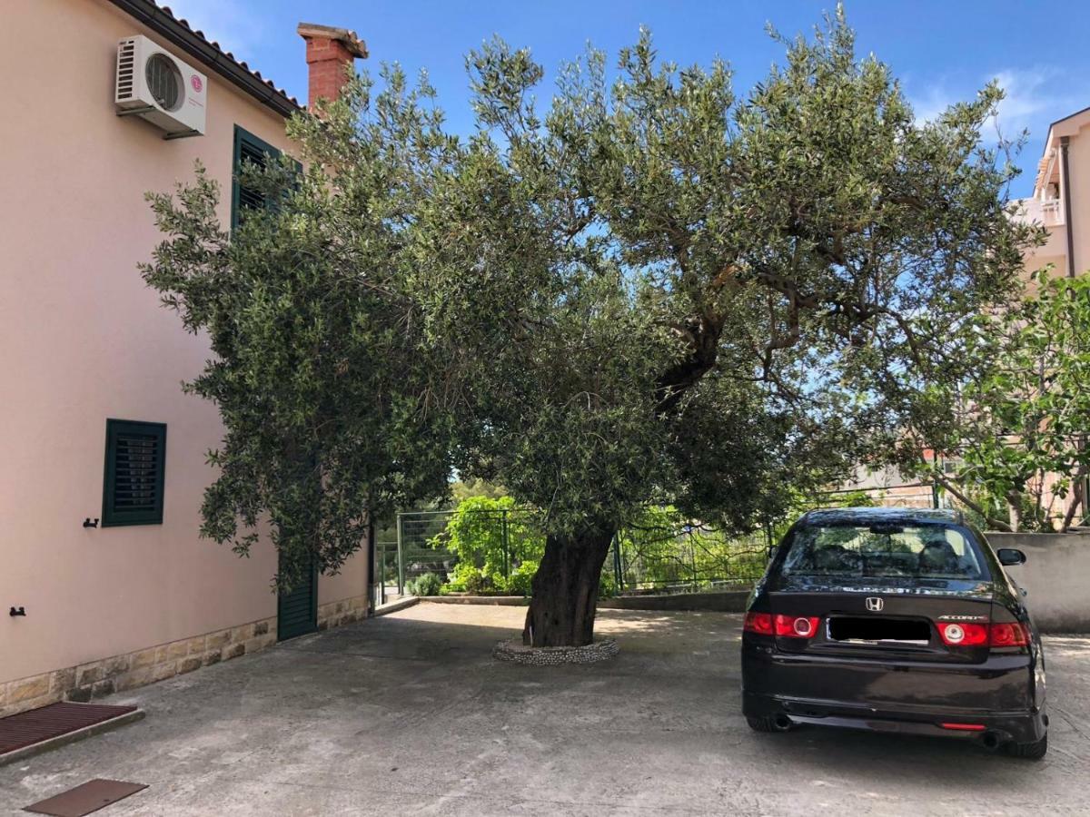 Villa Oliva Makarska Dış mekan fotoğraf