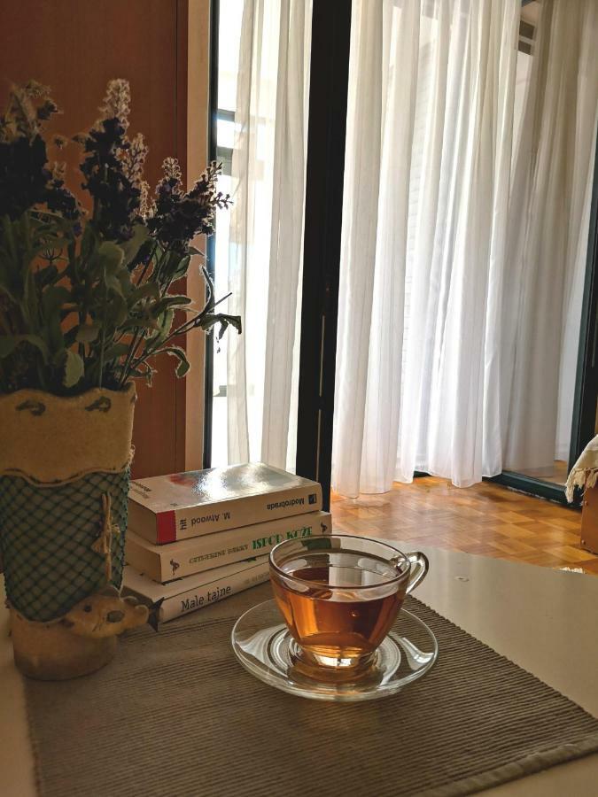 Villa Oliva Makarska Dış mekan fotoğraf